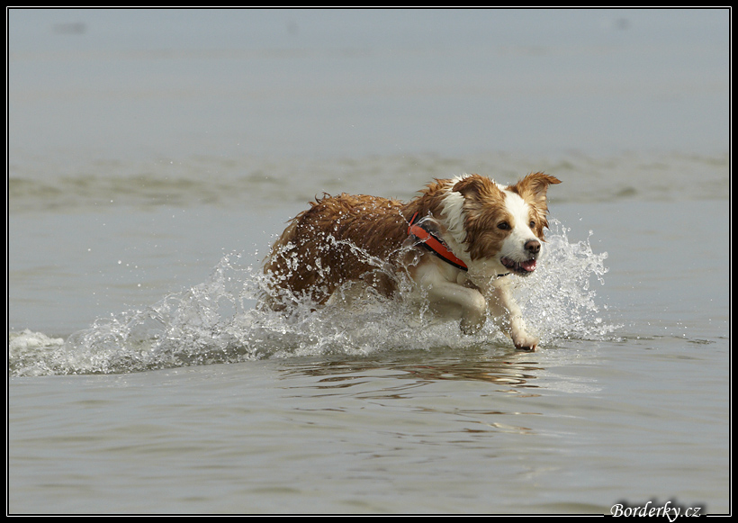 Slovinsko_2010_Grado_058.jpg