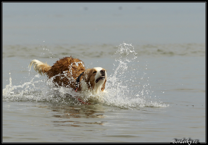 Slovinsko_2010_Grado_059.jpg