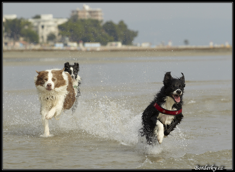 Slovinsko_2010_Grado_066.jpg