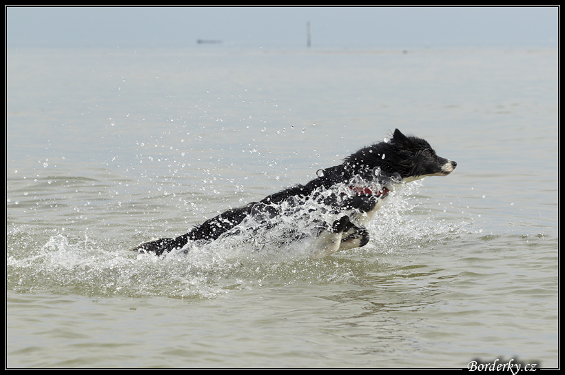 Slovinsko_2010_Grado_086.jpg