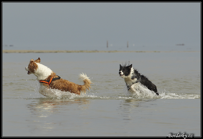 Slovinsko_2010_Grado_095.jpg