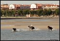 Slovinsko_2010_Grado_005