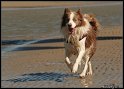 Slovinsko_2010_Grado_019