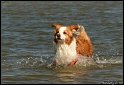 Slovinsko_2010_Grado_035