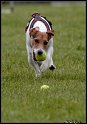 TSN2010_044
