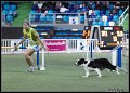 Agi_MS_D14C8228