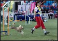 Agi_MS_D14C8639