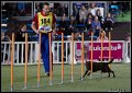 Agi_MS_2_D14C0752