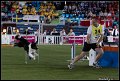 Agi_MS_2_D14C9749