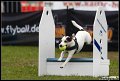 EFC_2011_146