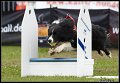 EFC_2011_153