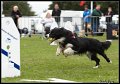 EFC_2011_155