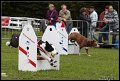 EFC_2011_167