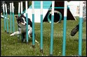 Jersey_agi_1_138_D14C9909
