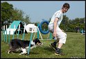 Jersey_agi_1_140_D14C9916