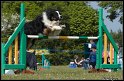 Jersey_agi_1_341_D14C0342